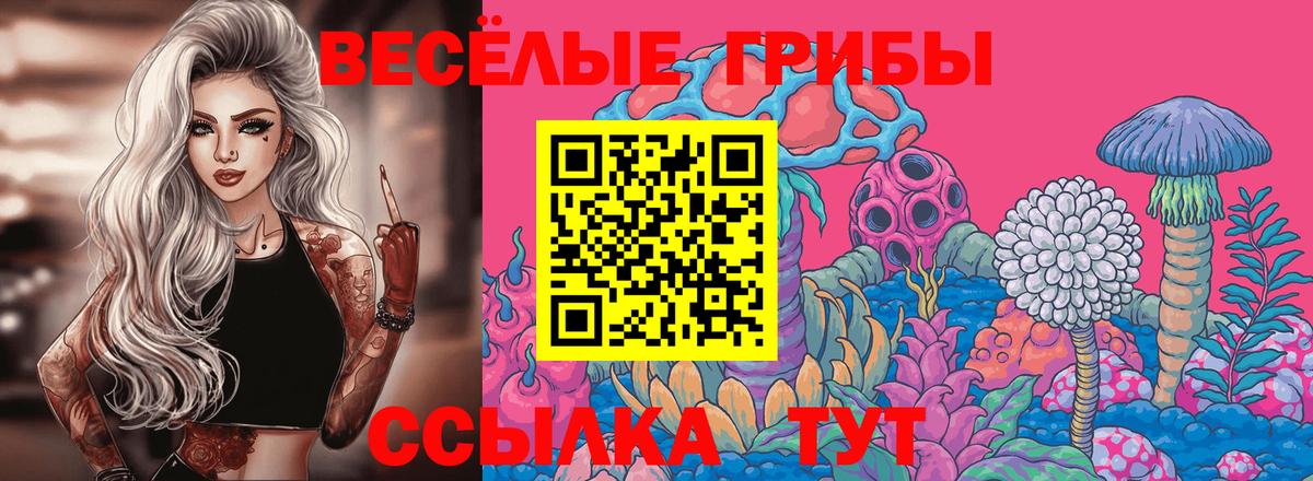 Псилоцибиновые грибы прущие грибы Узловая