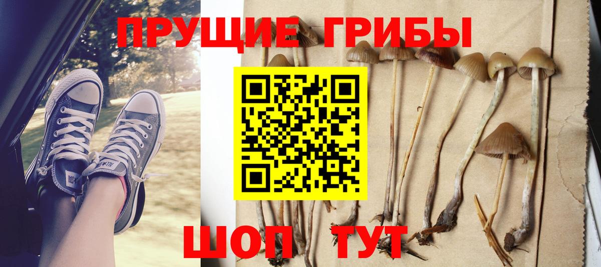 Псилоцибиновые грибы GOLDEN TEACHER  Вход с VPN  Псилоцибиновые грибы Cubensis  Узловая 