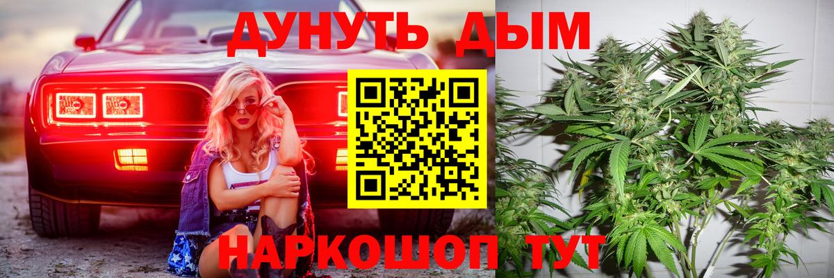 Конопля тримм  Каннабис семена  Вход с VPN  Каннабис планчик  Узловая  Бошки марихуана индика 